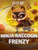 Review Ninja Raccoon Frenzy Terlengkap untuk Pemain Baru