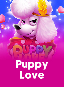 Cara Bermain Puppy Love dan Tips Menang Mudah